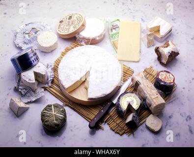 Formaggio francese. Banon. Il Bleu de Bresse. Boursin. Brie. Camembert. Cantal. Carre de L'est. Chevre Foto Stock