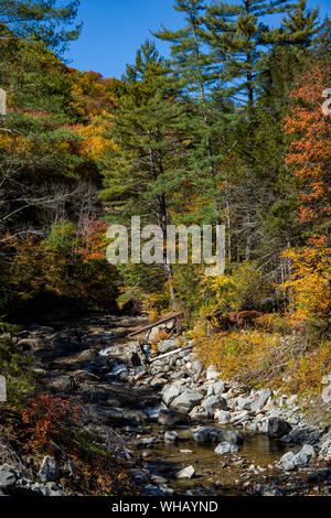 Autunno Stream nel Massachusetts occidentale Foto Stock