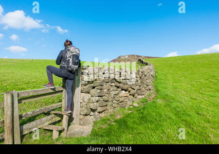 Escursionista femmina incrocio stile accanto a secco la parete in pietra vicino Kildale, North York Moors National Park, North Yorkshire, Inghilterra. Regno Unito. Park Nab in distanza.
