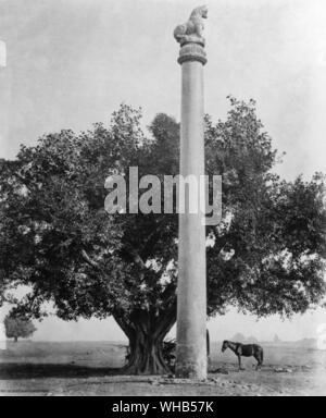 Ashoka Stambha, una monolitica free-standing colonna inscritto con editti costruito dall'Imperatore Ashoka. Creduto a cosmic. Il stambha funziona come un legame che unisce il cielo (Svarga) e la messa a terra (prithvi). In Atharva Veda, un stambha celeste è descritto come una struttura che supporta il cosmo e la creazione materiale.. . Foto Stock