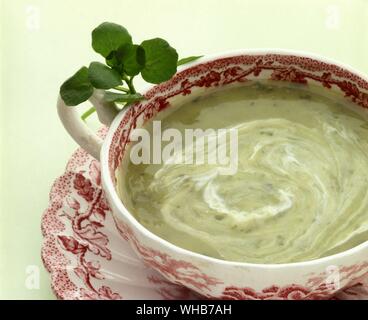 Zuppa di crescione con guarnire. Foto Stock