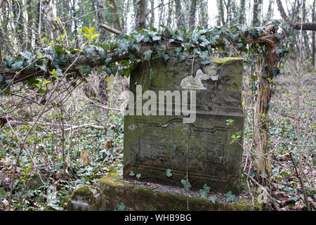 Polonia, Czestochowa - 31 Marzo 2019: Kirkut, cimitero ebraico di Czestochowa con oltre 4500 tombe. Istituito nel 1808 anno. Foto Stock