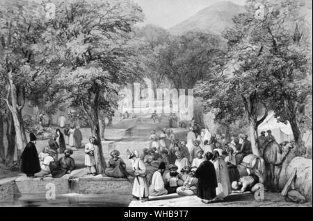 Un viale di platani in uno di Babur i giardini . Kabul , Afganistan Foto Stock