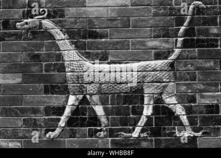 Rilievo di un drago dal Iahtar Gate . Ishtar cancello era l'ottavo gate all'interno della città di Babilonia 575 BC Foto Stock