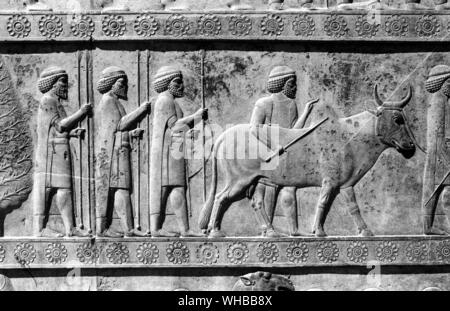 Palazzo Apadana , Persepolis : antica città di Persia , capitale dell' Impero Persiano , fondata da Dario . Vicino al moderno Shiraz , Iran . Foto Stock