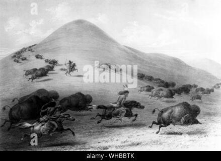 Il Buffalo Hunt da George Catlin. Foto Stock