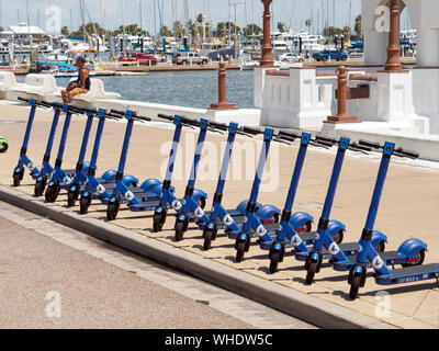 Blue Duck scooter elettrici per affitto allineati lungo il seawall il Corpus Christi, Texas USA Bayfront. Foto Stock