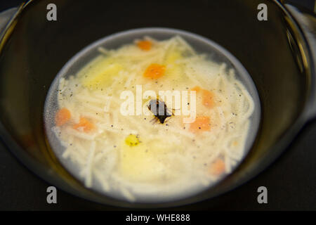 Zuppa calda con uno scarafaggio e un fly in zuppa, un cucchiaio di argento e alluminio vetreria nero su uno sfondo scuro. Sfondo Foto Stock