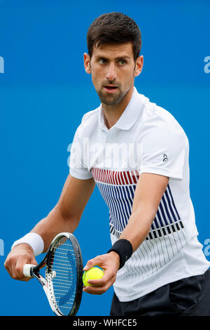 Aegon International 2017- Eastbourne - Inghilterra - Quarti di finale. Novak Djokovic di Serbia in azione serve contro Donald giovani degli Stati Uniti d'America. Giovedì 29th, Foto Stock