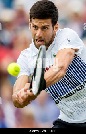 Aegon International 2017- Eastbourne - Inghilterra - ATP uomini Semi Finale. Novak Djokovic di Serbia giocando a due mani scritto contro il russo Daniil Medvedev di Foto Stock