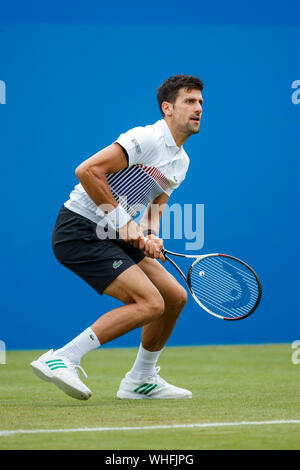 Aegon International 2017- Eastbourne - Inghilterra - Quarti di finale. Novak Djokovic di Serbia in azione contro Donald giovani degli Stati Uniti d'America. Giovedì 29 Giugno. P Foto Stock