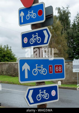 Segnale stradale della corsia ciclabile che indica il percorso della corsia ciclabile specifico per i ciclisti. Ciclismo strada segno Bianco immagine di bicicletta su sfondo Blu. Foto Stock