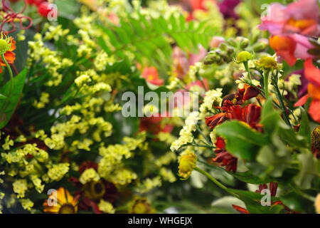 Una serie di foto con lussureggianti e variopinti composizioni floreali di fiori freschi recisi, felci ed erbe aromatiche Foto Stock