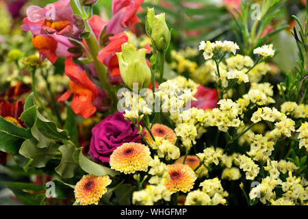 Una serie di foto con lussureggianti e variopinti composizioni floreali di fiori freschi recisi, felci ed erbe aromatiche Foto Stock