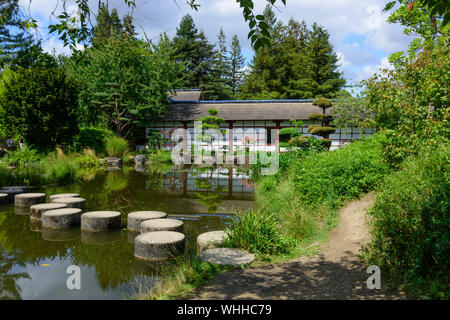 Japanischer Garten auf der Isle de Versailles in Nantes, Nantes, Isle de Versailles, Jardin Japonais - Nantes, Versailles Isola, giardino giapponese Foto Stock