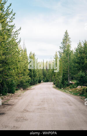 Strada sterrata in Uinta National Forest, Utah Foto Stock