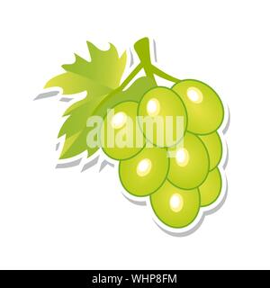 Uva verde. Frutta dolce. Frutti di bosco isolato su sfondo bianco. Illustrazione Vettoriale. Illustrazione Vettoriale