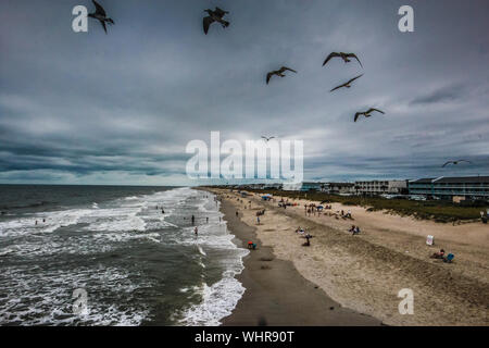 Stormo di gabbiani sorvolano il turbolento acqua a Kure Beach in North Carolina, USA. Foto Stock