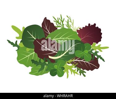 Mix di foglie di insalata. La rucola e spinaci foglia di lattuga. Illustrazione Vettoriale impostato in uno stile piatto. Illustrazione Vettoriale