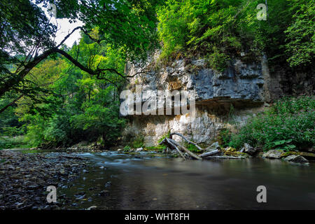 Parete del Muschelkalk, shellbearing roccia calcarea lungo il fiume Wutach in Wutach Gorge Riserva Naturale della Foresta Nera, Baden-Württemberg, Germania Foto Stock