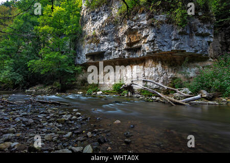 Parete del Muschelkalk, shellbearing roccia calcarea lungo il fiume Wutach in Wutach Gorge Riserva Naturale della Foresta Nera, Baden-Württemberg, Germania Foto Stock