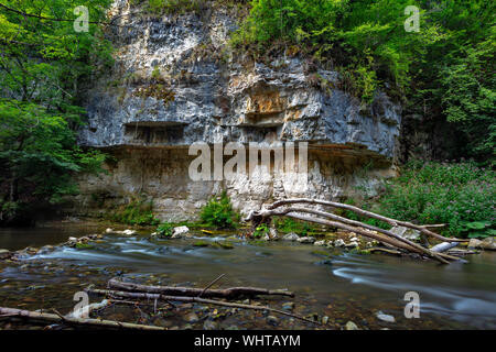 Parete del Muschelkalk, shellbearing roccia calcarea lungo il fiume Wutach in Wutach Gorge Riserva Naturale della Foresta Nera, Baden-Württemberg, Germania Foto Stock