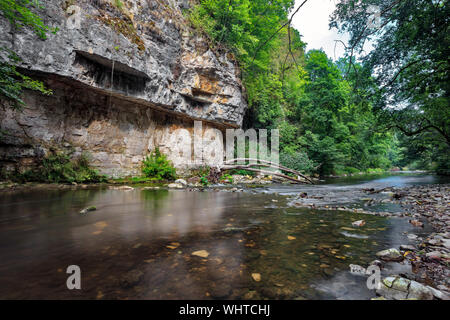 Parete del Muschelkalk, shellbearing roccia calcarea lungo il fiume Wutach in Wutach Gorge Riserva Naturale della Foresta Nera, Baden-Württemberg, Germania Foto Stock