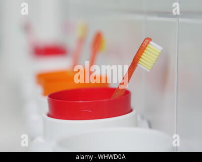 Close-up di spazzolini da denti in contenitori a bagno
