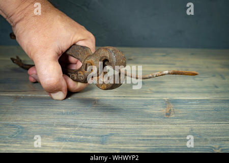 Maschio di mano che tiene il vecchio arrugginito impugnature e piegato lungo corroso chiodo su una tavola in legno rustico in una vista ravvicinata Foto Stock