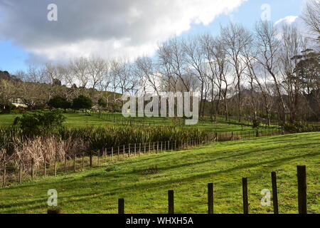 Lo stile di vita di campagna a blocco con alberi e prati divisi da bestiame recinzioni di filo luminoso nel tardo pomeriggio la luce. Foto Stock