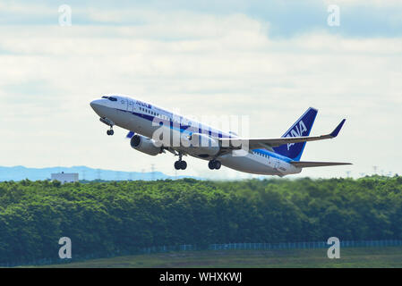 Sapporo, Giappone - Lug 3, 2019. JA55un All Nippon Airways Boeing 737-800 il decollo dall'Aeroporto New Chitose (CTS) a Sapporo, Giappone. Foto Stock