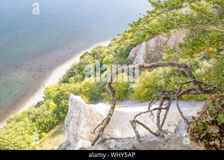 Chalk cliffs sull'isola di Rügen (Rugia). Il tedesco Mar Baltico - Patrimonio mondiale Unesco. Foto Stock