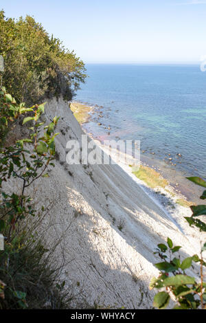 Chalk cliffs sull'isola di Rügen (Rugia). Il tedesco Mar Baltico - Patrimonio mondiale Unesco. Foto Stock
