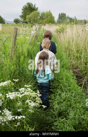 Vista posteriore di tre bambini a camminare in una fila lungo le piante nel campo Foto Stock