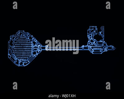 Chiave di crittografia serie. Il design dello sfondo della chiave stilizzata e il numero di simboli sul soggetto della crittografia, matematica e tecnologie digitali Foto Stock