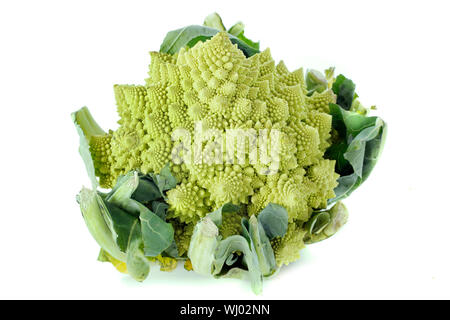 Romanesco broccoli davanti a uno sfondo bianco Foto Stock