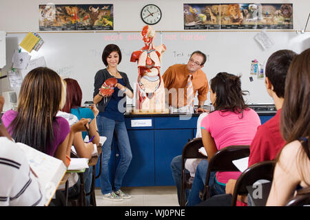 Gli studenti di medicina con professori e umano modello anatomico in aula Foto Stock