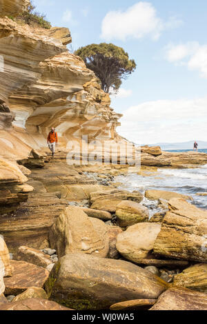 Escursionista passeggiate passato arenaria di vorticazione formazioni rocciose al dipinto di scogliere, Maria Island, Tasmania, Australia Foto Stock