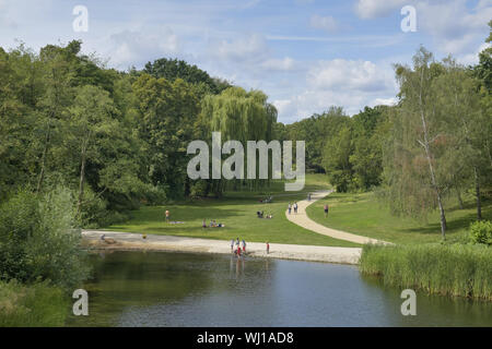 Albero, alberi, Berlino, Germania, Duck Pond, disposizione verde, verde disposizione, park, parco, Rudolph game park, lago, parco cittadino, stagno, la bellezza di montagna Foto Stock