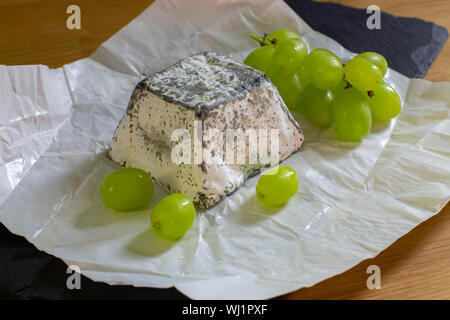 Fattoria di morbido formaggio di latte di capra con lo stampo e carbone. Servita con uva verde su carta bianca. Formaggio a pasta morbida bar. Foto Stock