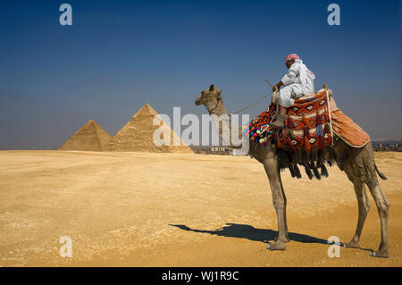 Vista laterale di un beduino a dorso di cammello contro le piramidi in Egitto Foto Stock