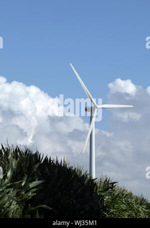 Turbina eolica la produzione di elettricità verde nel campo di grano, il paesaggio agricolo Foto Stock