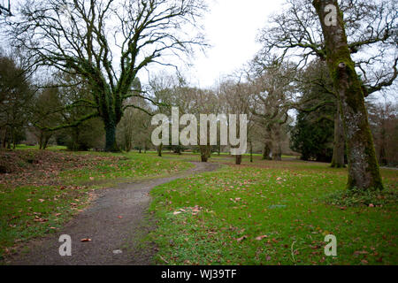 Terreni di Blarney Castle, Paese Cork, Irlanda Foto Stock