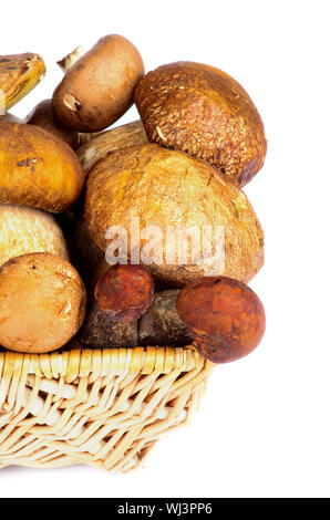 Cesto in Vimini con fresche e mature di funghi Portabello, Orange-Cap funghi porcini e piccante Bolete closeup su sfondo bianco Foto Stock