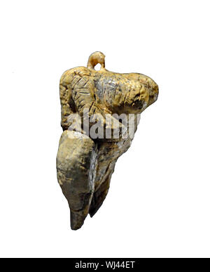 La Venere di Hohle Fels è la più antica immagine indiscusso di un essere umano risalente a 40.000 anni fa. Ella è grasso e grande petto e scolpito dal mammut Foto Stock