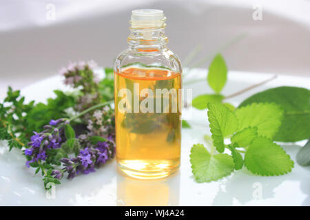 Primo piano della bottiglia di olio con fresco verde di erbe e fiori aromatici. Medicina alternativa nozione Foto Stock