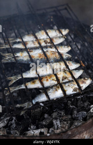 Sardine intere per la cottura su barbecue grill Foto Stock