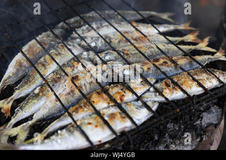 Sardine intere per la cottura su barbecue grill Foto Stock