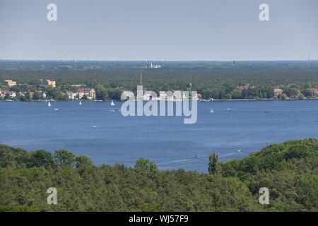 Alberi, albero, alberi, Berlino, biotopo, Germania, foresta, Friedrichshagen, acque, acque, di grande Mueggelsee, big Müggelsee, verde, verdi più verde, gr Foto Stock