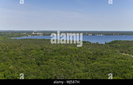 Alberi, albero, alberi, Berlino, biotopo, Germania, foresta, Friedrichshagen, acque, acque, di grande Mueggelsee, big Müggelsee, verde, verdi più verde, gr Foto Stock